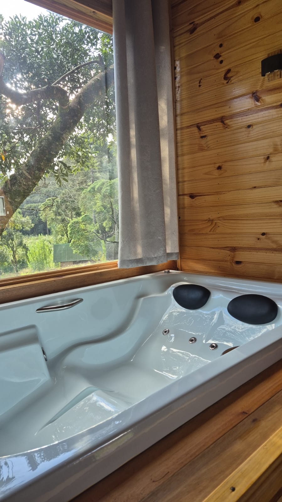 Jacuzzi e lareira em ambiente interno da cabana